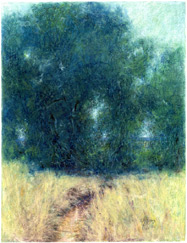 In the background in the upper right corner and peaking through the spongy, mossy textured blue green leaves, that cover most of the top two thirds of the image, is pale blue sky. In the foreground, thin graceful sloping vertical lines of shades of yellows, greens and browns depict tall grasses, and two darker brown converging lines, suggesting a dirt road, curve back into the trees.