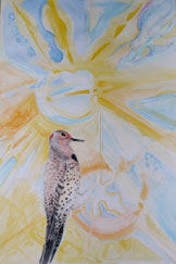 Ice Crystals and Flicker