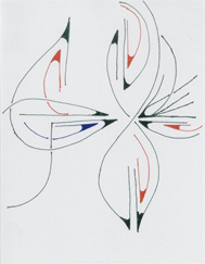 Freedom to Reflect Photography